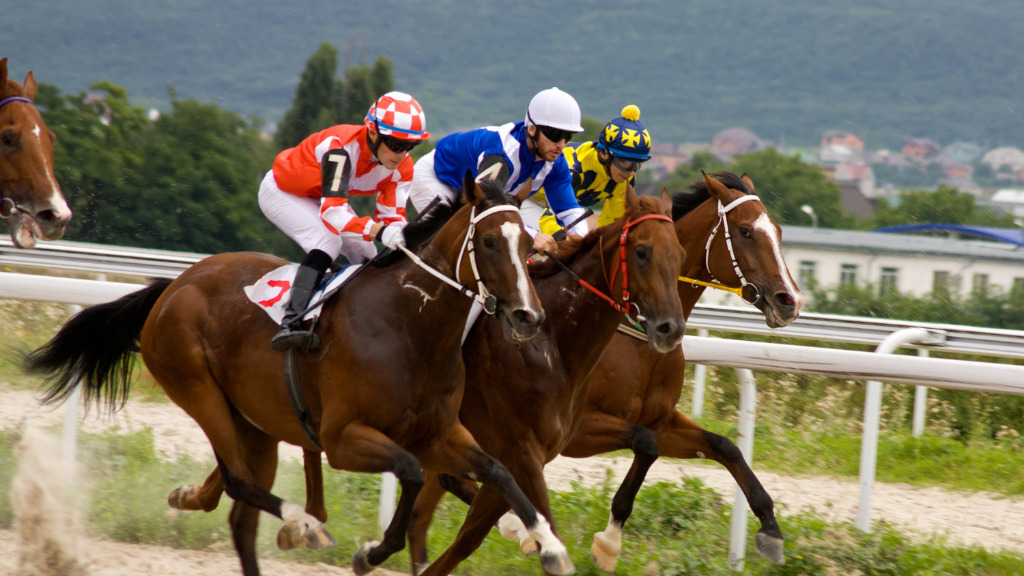 cual es la probabilidad de ganar el lototurf